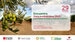 Encuentro Dieta Mediterránea 2023. Promoviendo la salud y cuidando el entorno